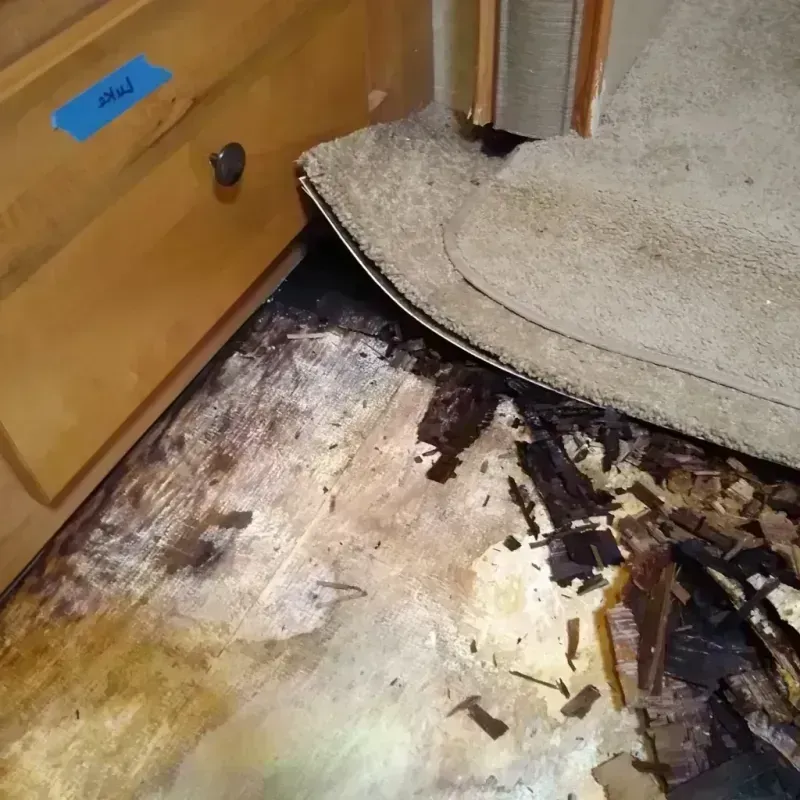 Best Wood Floor Water Damage Service in Belle Glade, FL